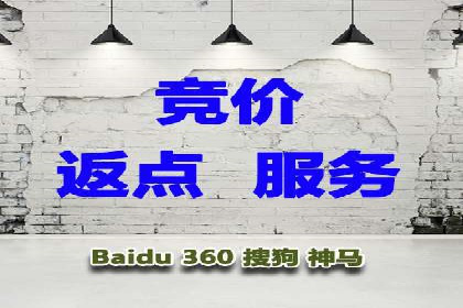 百度竞价公司：从零到一的成长之路